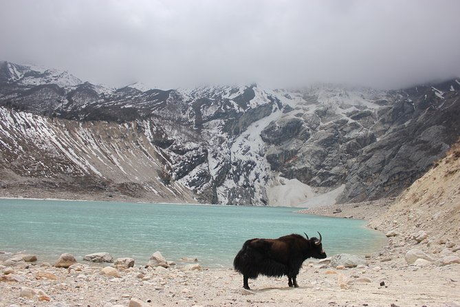 13 Days Manaslu Trekking in Nepal From Kathmandu - Meeting and Pickup Details