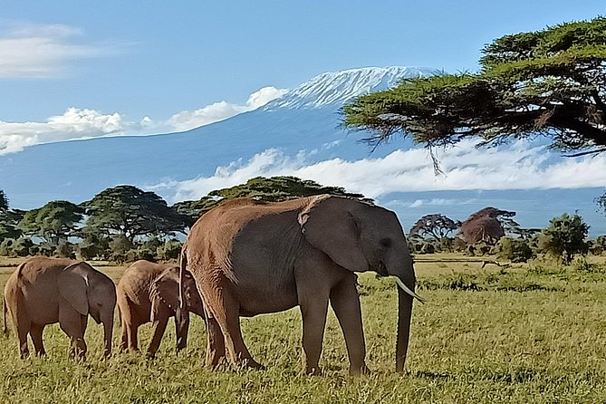 13 Days Photographers Safari - Inclusions and Pricing