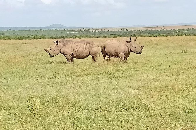 13 Days Photographers Safari - Tipping Guidelines