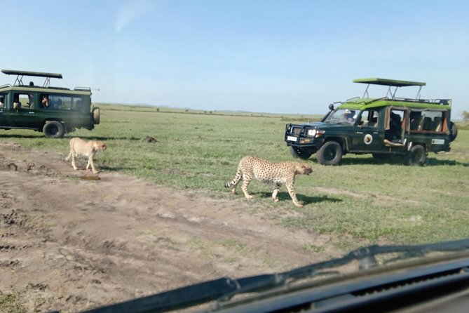 13 Days Photographers Safari - Cancellation Policy