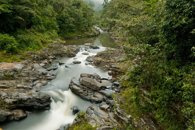 13 Days Private Tour on the Mythique Nationale 7 of Madagascar - Day 2-13: Mythique Nationale 7 Tour