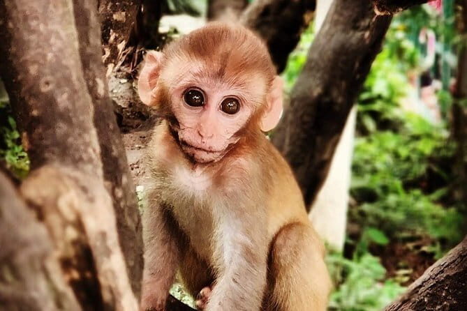 13 Days Trekking in Annapurna Circuit - Final Thoughts: Who Should Consider This Trek?