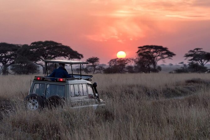 13 Days Wildlife Adventure Trip To The Pearl Of Africa - Accommodation Details