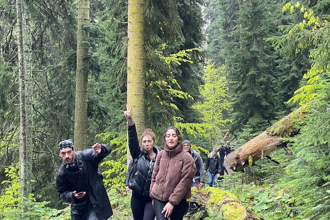 13 Km Hike in Borjomi - Group Tour From Tbilisi - Meeting Point Details