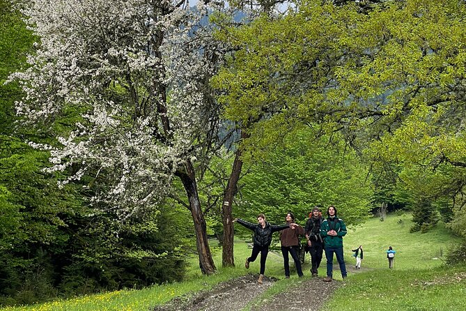 13 Km Hike in Borjomi - Group Tour From Tbilisi - Traveler Requirements