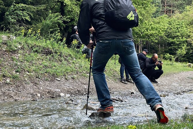 13 Km Hike in Borjomi - Group Tour From Tbilisi - Reviews