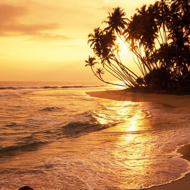 13 Nights Tour of The Paradise Isle - Accommodation Options