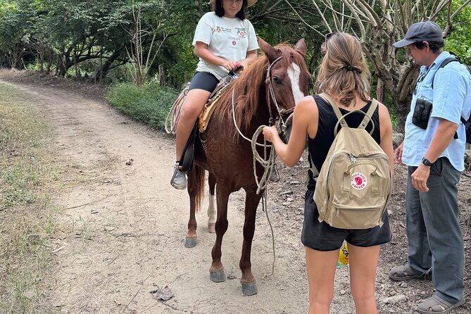 14 Day Beach Paradise Tour in Puerto Escondido Mexico - The Complete Experience: An In-Depth Look