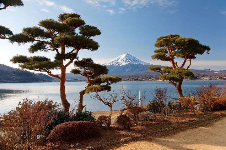 14 Day Best of Japan Golden Route Tour Package by Tourist Journey - Days 11 to 13: Osaka, Hiroshima and Miyajima