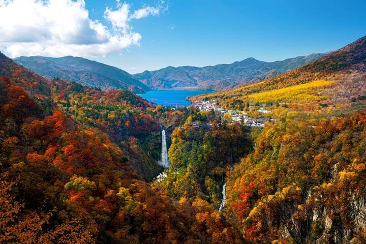 14 Day Best of Japan Golden Route Tour Package by Tourist Journey - Who should choose this Japan tour?