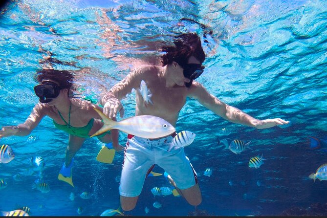 14-Day Dominican Beaches Tour From Cabarete - Tour Inclusions