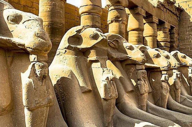 14-Day Egypt Highlights (Cairo, Cruise & Hurghada) - Cancellation Policy and Terms