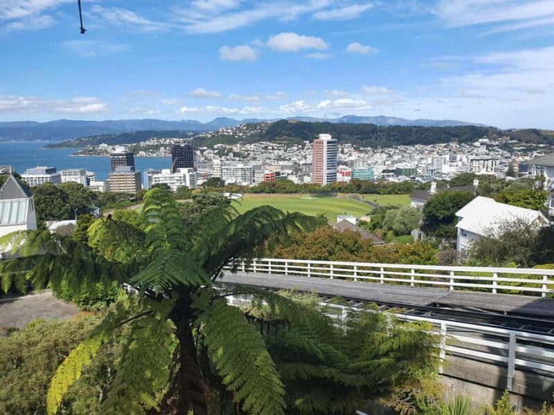 14 Day Northern Kiwi Small Group Tour - What Makes This Tour Stand Out?