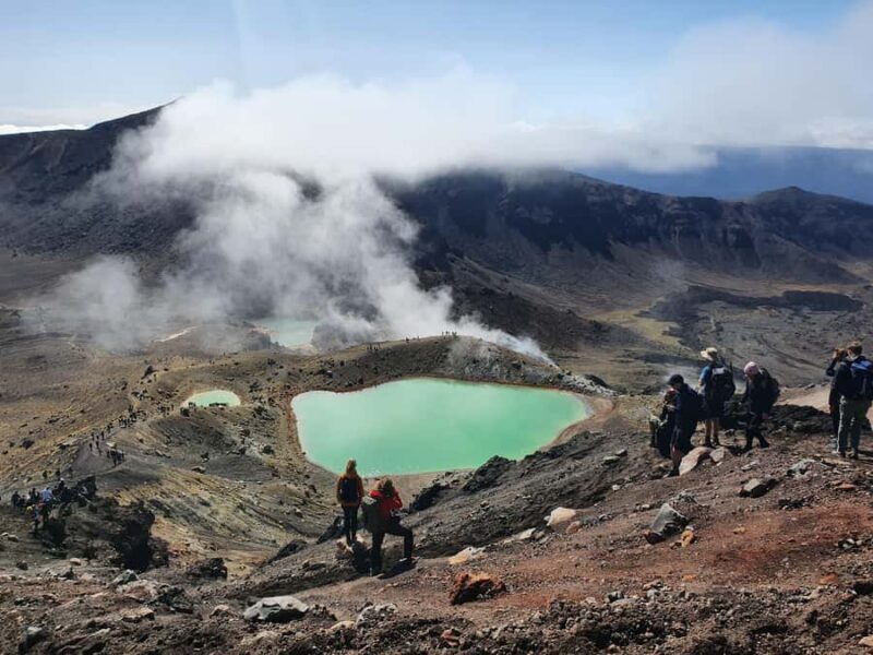 14 Day Northern Kiwi Small Group Tour - The Sum Up