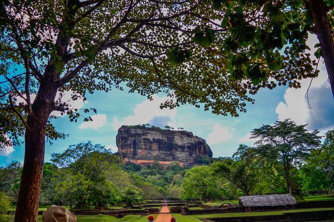 14-Day Private Tour in Sri Lanka - Accommodation and Transportation