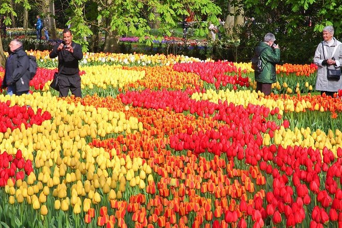 14-Day Taste of Europe Tour: France, Italy, Monaco,Switzerland,Germany and More. - Pricing and Inclusions