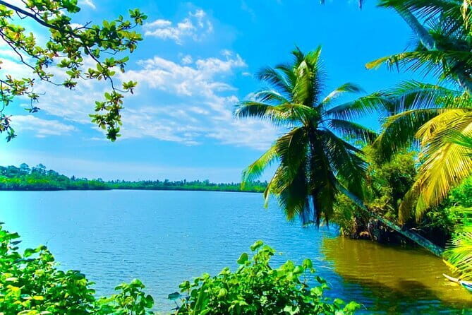 14 Days/ 13 Nights -Sri Lanka Tour on Culture, Wildlife & Beaches - What Makes This Tour Stand Out?