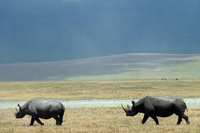 14 Days Kenya And Tanzania Budget Safari - Safari Itinerary Overview