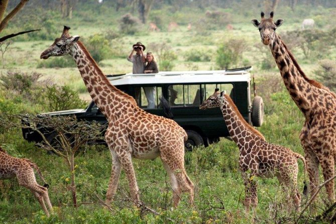 14-Days Kenya and Tanzania Camping Safari From Nairobi - Transportation Logistics