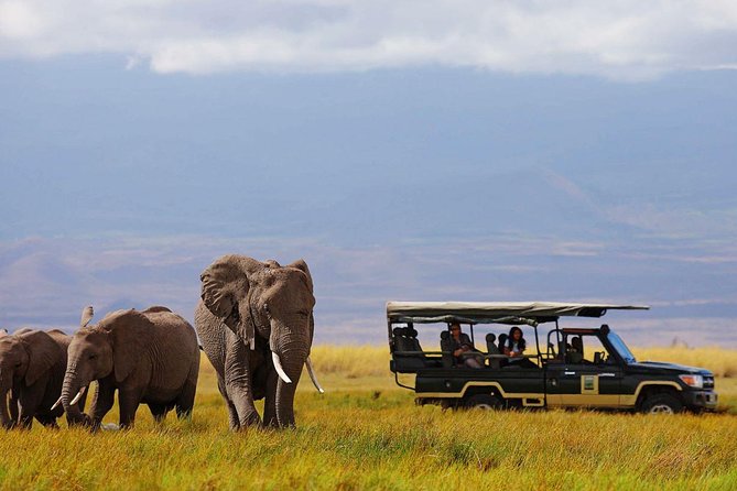 14-Days Kenya and Tanzania Camping Safari From Nairobi - Game Drive Experiences