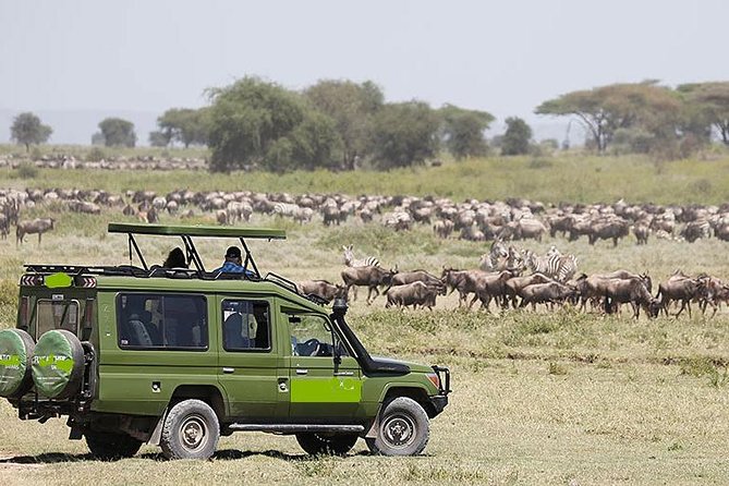 14-Days Kenya and Tanzania Camping Safari From Nairobi - Accommodations and Meals