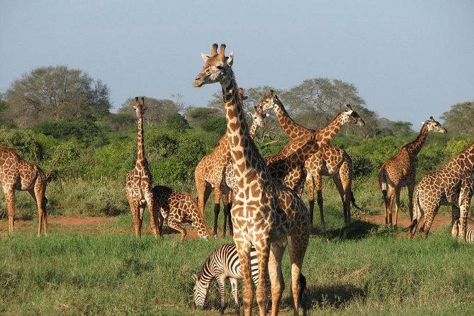 14-Days Kenya and Tanzania Camping Safari From Nairobi - Inclusions and Exclusions