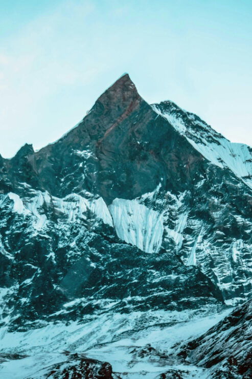 14 Days Manaslu Circuit Trek Larke La Pass - Wildlife and Conservation Area