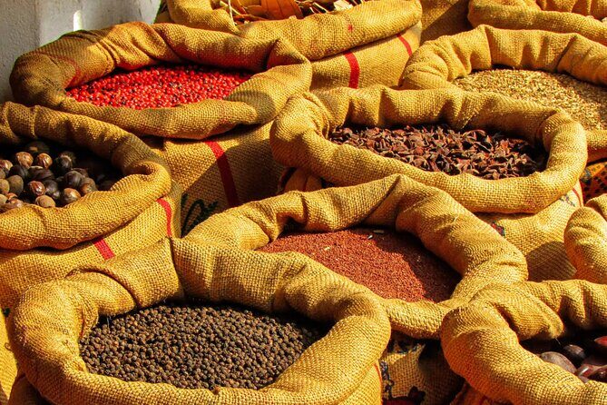 14 Days of Private Experience Across Royal Rajasthan - Final Thoughts: Who Is It Best For?