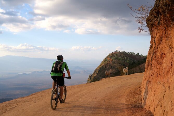 14-Days Private Cycling Safari in Uganda, Rwanda and Congo - Accommodations and Meals