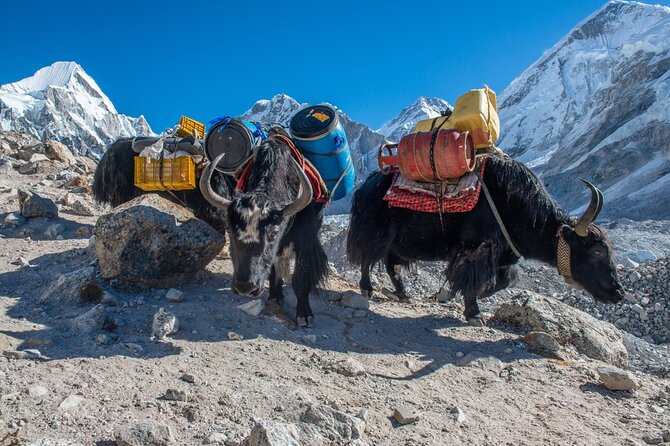 14 Days Private Tour Everest Base Camp Trek - Kathmandu Lukla, Lukla Kathmandu Flight