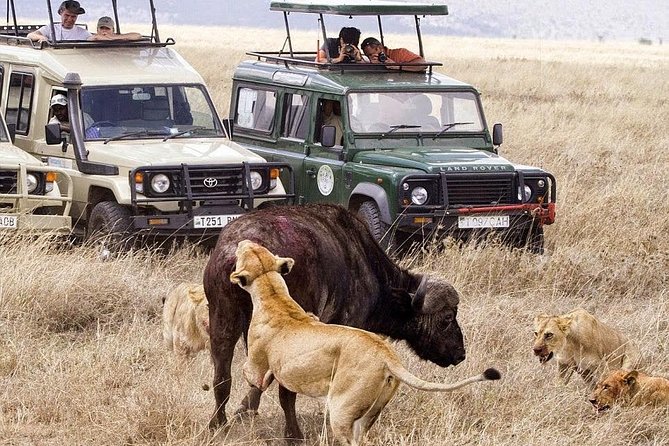 14 Days Romantic Tanzania Wildlife Safari & Zanzibar Beach Holiday - Transportation Details
