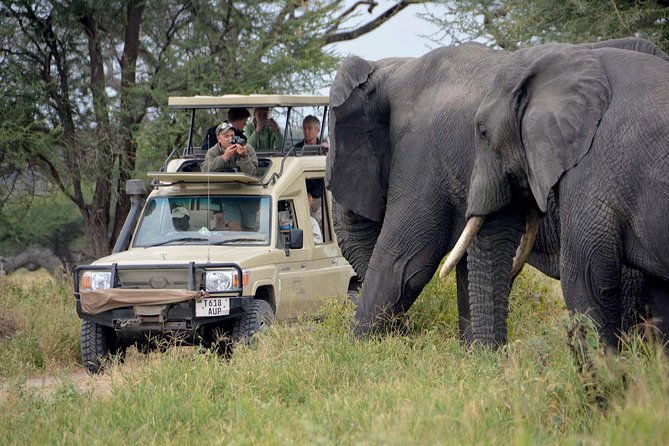 14 Days Romantic Tanzania Wildlife Safari & Zanzibar Beach Holiday - Booking Information