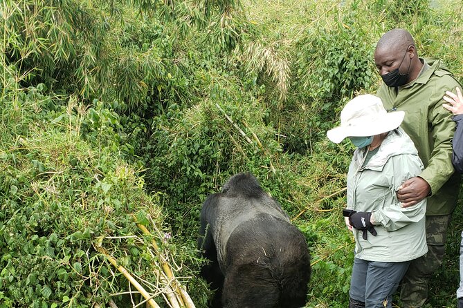 14 Days Rwanda, Tanzania, and Kenya Adventure - Adventure Activities