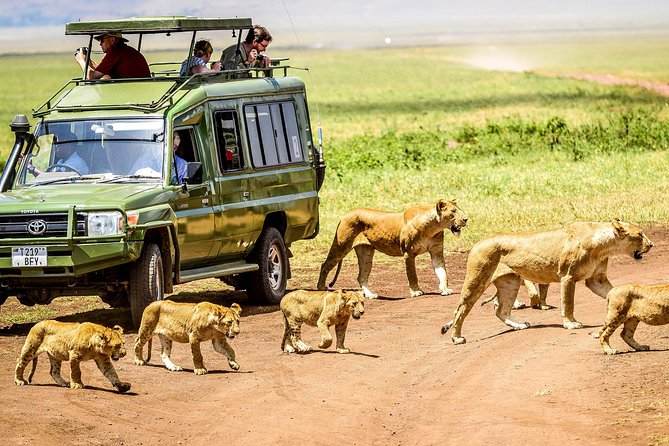 14 Days Rwanda, Tanzania, and Kenya Adventure - Practical Information