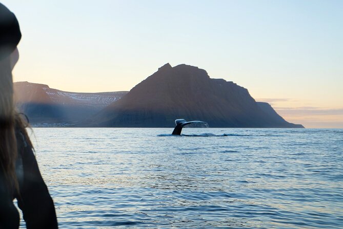 14 Days Self-Drive Tour With Pick up - Signature Tour Iceland - 4x4 Campervan - Pricing and Guarantee