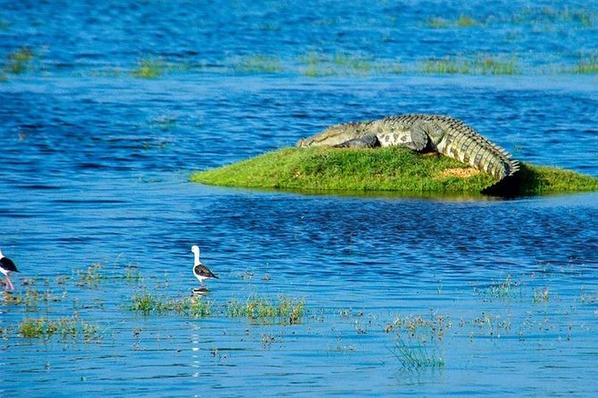 14 Days Sri Lanka Tour - Explore Sri Lanka - Pickup Details