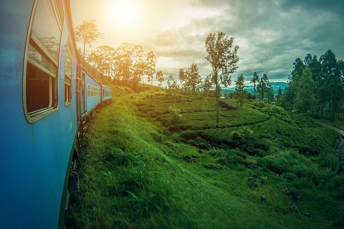 14 Days Sri Lanka Tour - Explore Sri Lanka - What To Expect