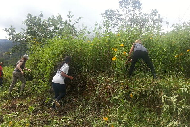 14 Days to Experience Authentic Village Life in Taita Hills - Accommodation Information