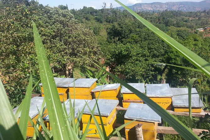 14 Days to Experience Authentic Village Life in Taita Hills - Traveler Requirements