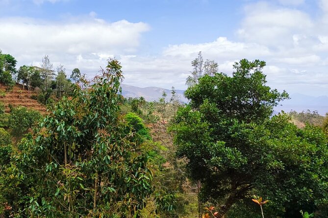 14 Days to Experience Authentic Village Life in Taita Hills - Booking and Pricing Information