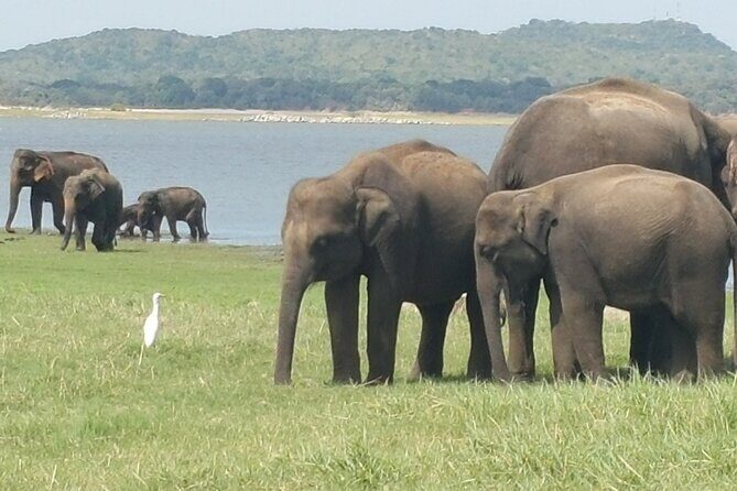 14 Days Travel in Sri Lanka with Accommodation - Overview of the 14-Day Sri Lanka Tour