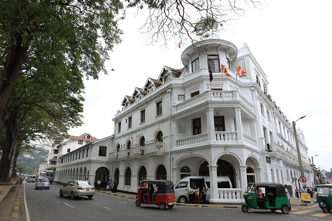 14 Days Travel in Sri Lanka with Accommodation - Who Is This Tour Best For?