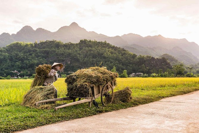 14 Days Vietnam Bicycling Tour - Must-Visit Destinations