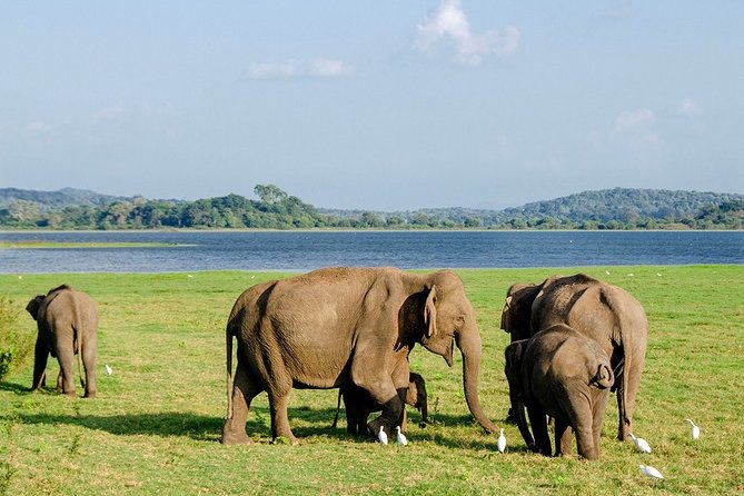 14-Nights/15-Days Sri Lanka Round Tour by Car - With Nilaveli Beach - Accommodation Details