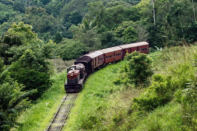 14-Nights/15-Days Sri Lanka Round Tour by Car - With Udawalawa Safari - Good To Know