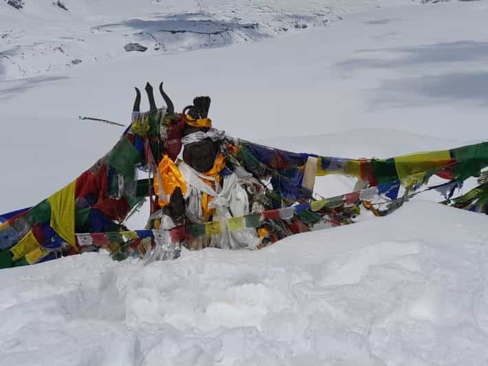 15-day Annapurna Base Camp Yoga & Trekking - Experience Highlights