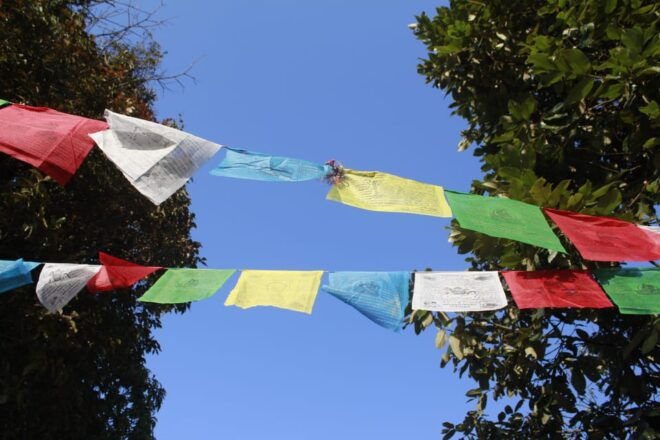 15-day Annapurna Base Camp Yoga & Trekking - Important Safety Information