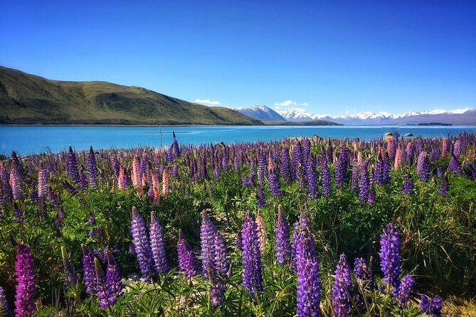 15 Day Legendary New Zealand Tour - Included in the Tour Package