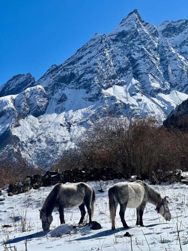 15-Day Manaslu Circuit Trek - Wilder Himalayan Trail - What Makes This Trek Special?