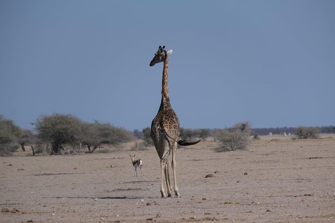 15 Day Mobile Camping Safari Botswana - Good To Know